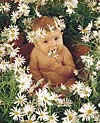 Anne Geddes