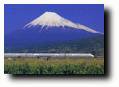 Fuji