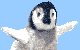 Penguin Baby