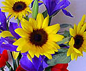Spring Flowers